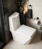 Vaso Sanitário Monobloco Imperial Diamond Caixa Acoplada Smart 300 Branco Smart Norte