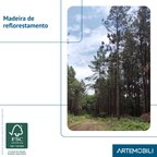 Cômoda 6 Gavetas Madeira Maciça com Telinha Rattan Viena Mel Marrom Artemobili