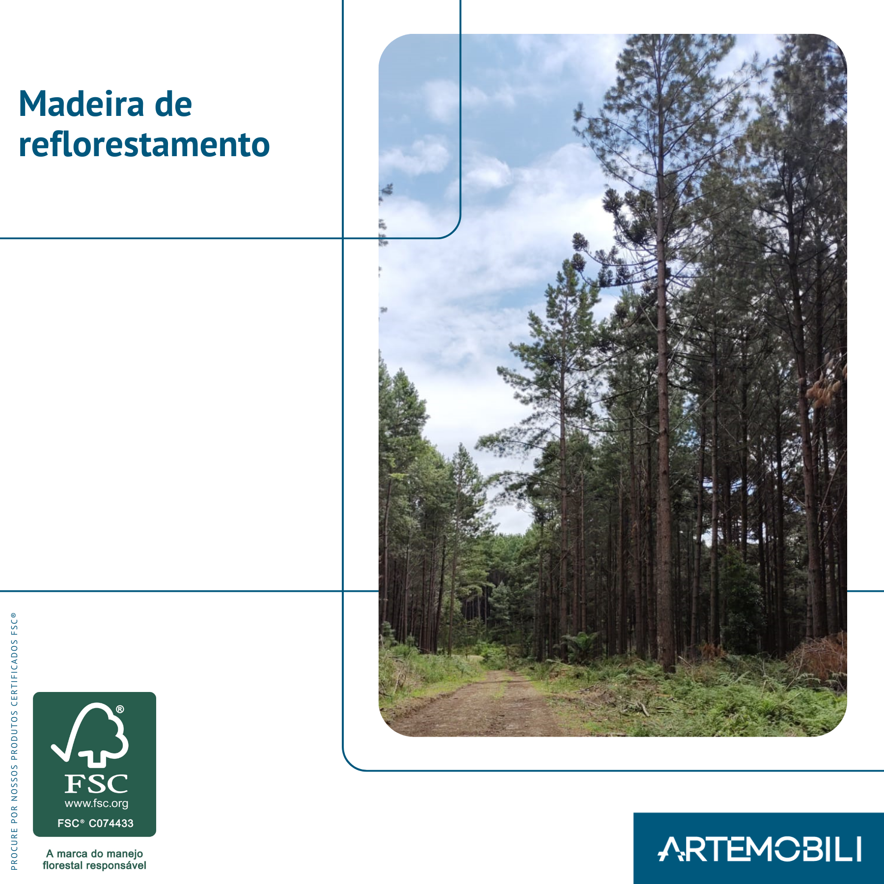 Cômoda 6 Gavetas Madeira Maciça com Telinha Rattan Viena Mel Marrom Artemobili